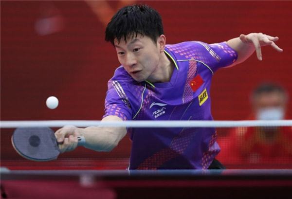 慕尼黑的象 慕尼黑的象