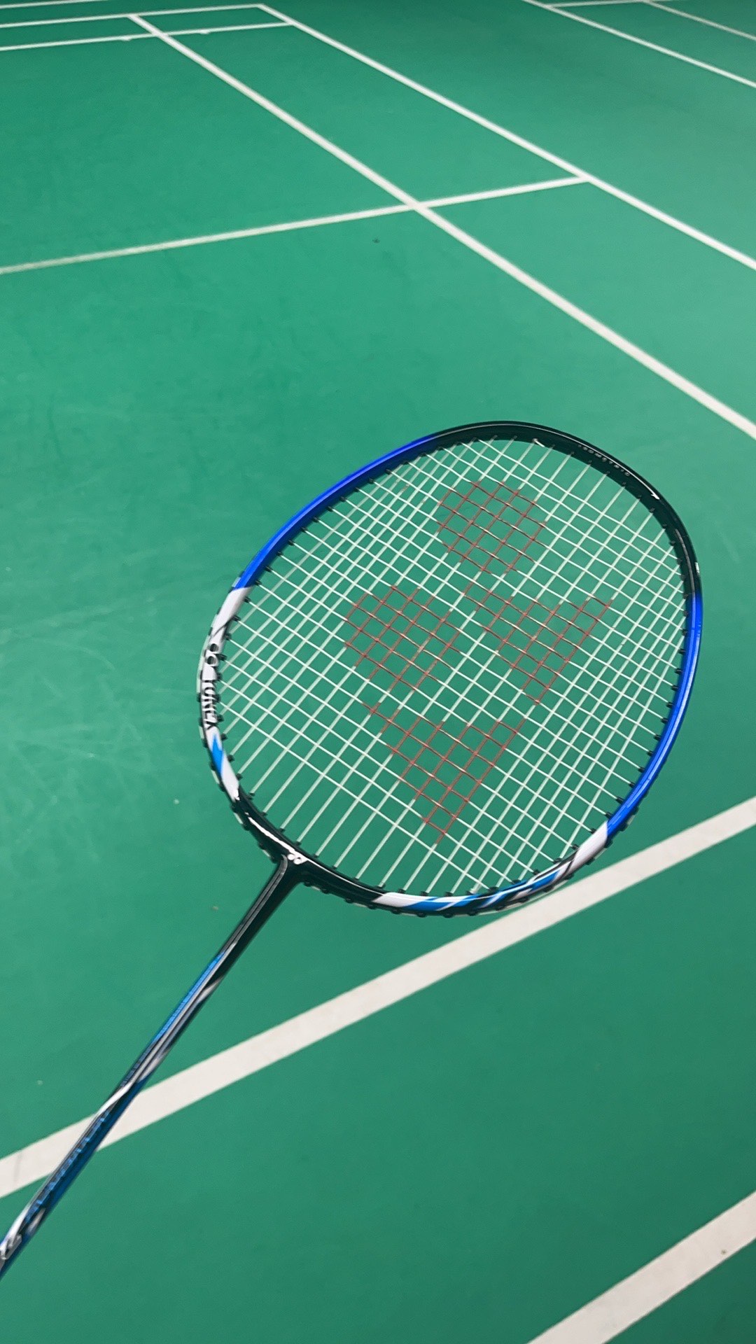 忠诚与背叛 忠诚与背叛